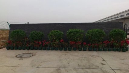 南寧亞馬遜倉儲中心綠化工程 構建生態與現代物流的和諧共生