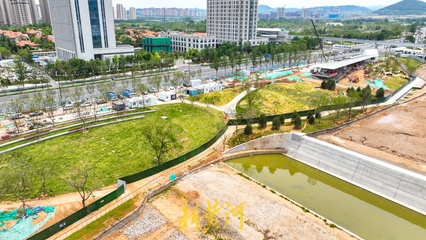 放眼皆是綠！濟南楊家河兩岸綠化提升工程取得新進展